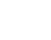 100-virtual